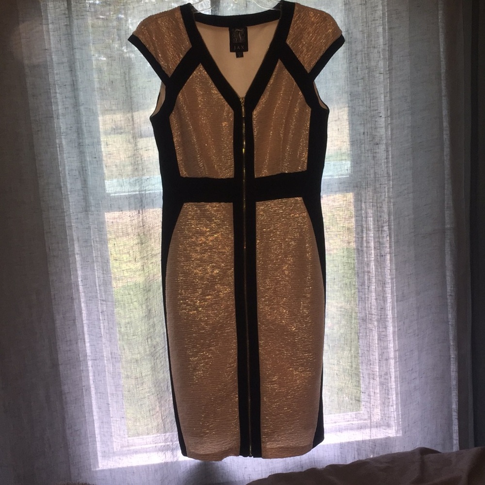 A fancy Zipper dress Jax